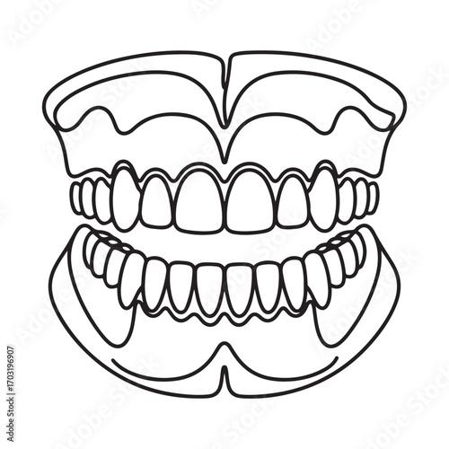 One continuous line Art drawing of anatomical complete adult human teeth set. with white background