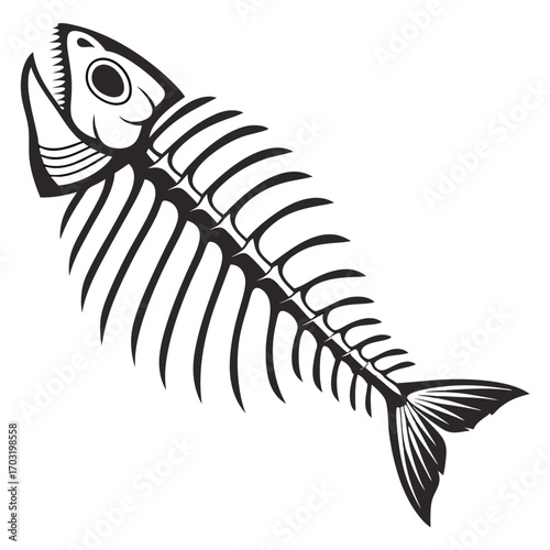 A detailed black and white illustration of a fish skeleton.