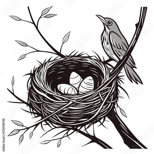 Bird Nest with Eggs on Branch.
