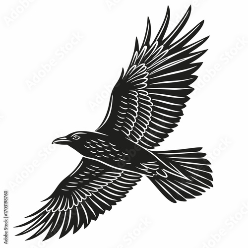 Monochrome vector illustration of a majestic flying crow.