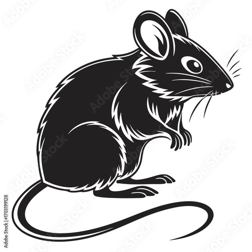 Black and white vector illustration of a sitting mouse.