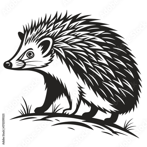 A prickly hedgehog standing alert.