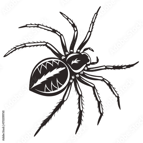 Stylized black and white spider illustration with detailed legs.