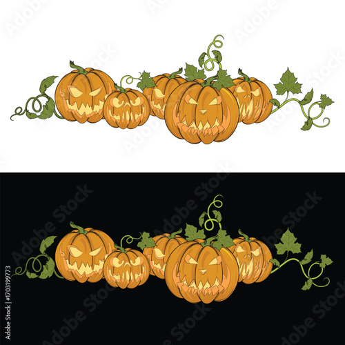 Group of pumpkins with vines and leaves