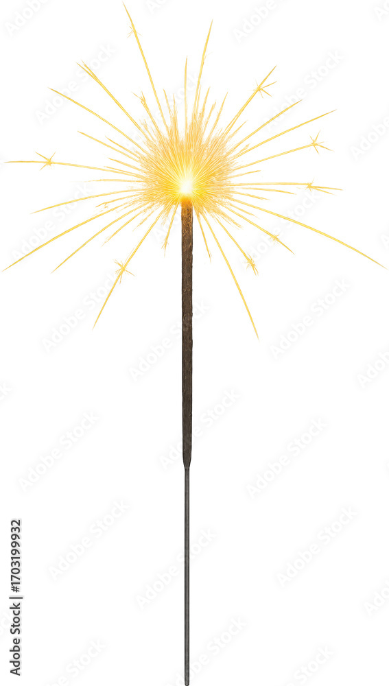 Obraz premium Sparkler transparent background