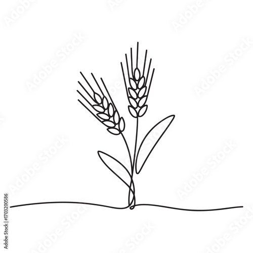 One continuous line Art drawing of whole healthy organic wheat grain for farm logo identity. Fresh staple food concept for breakfast cereal icon. with white background