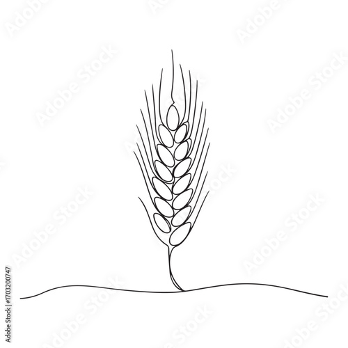 One continuous line Art drawing of whole healthy organic wheat grain for farm logo identity. Fresh staple food concept for breakfast cereal icon. with white background