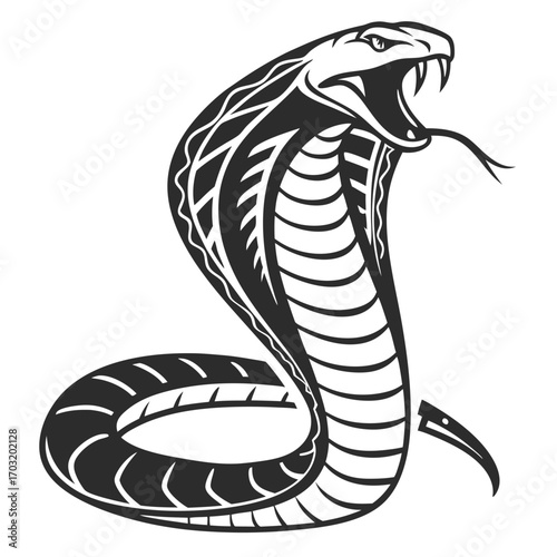 Striking Cobra Snake with Open Mouth and Fangs.