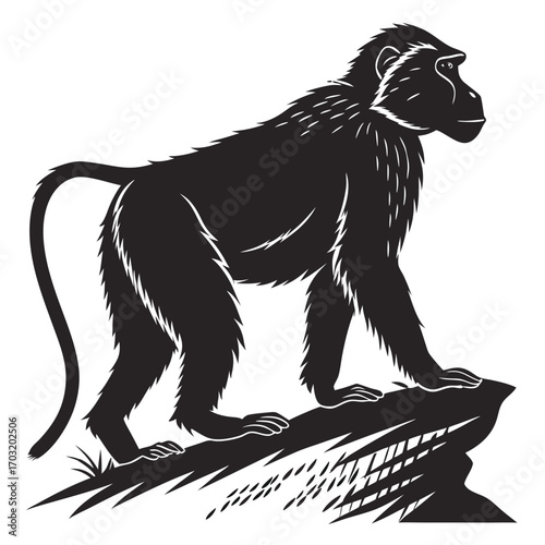 Baboon Silhouette Standing on a Rock.