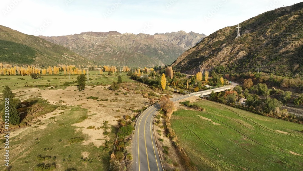 Obraz premium Beautiful mountain landscape in the Andes with cow eating grass, Argentina Chile, South America