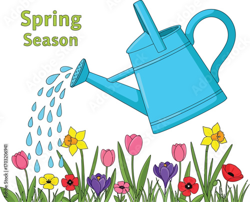 Watering can sprinkling water on colorful spring flowers, spring season concept illustration