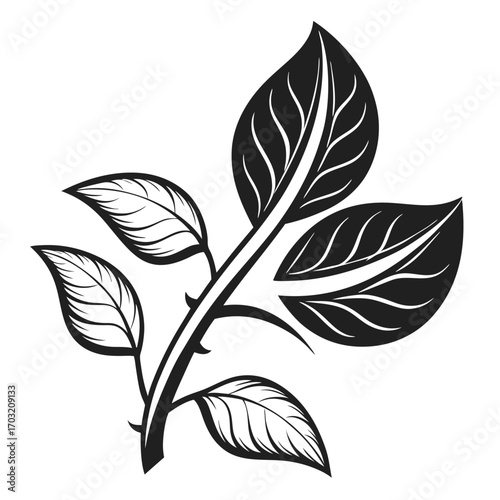 Detailed illustration of a plant stem with leaves and thorns in black and white.