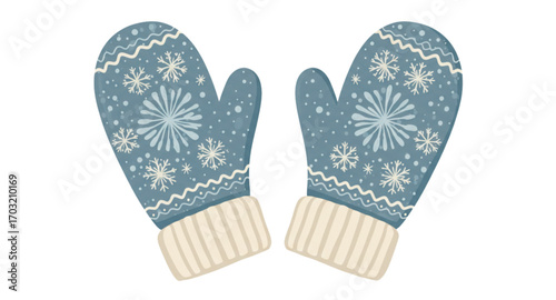 pair of winter gloves