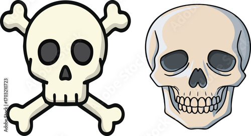 Cartoon skull and crossbones next to a realistic skull against a white backdrop, symbolizing danger and mortality in a simple yet impactful way.