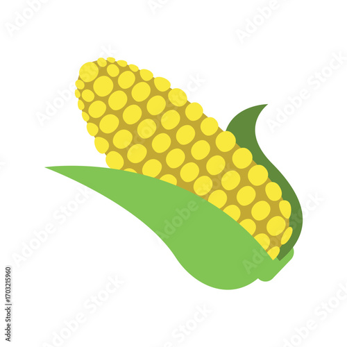 Illustration of a ripe corn cob with green leaves isolated on white background