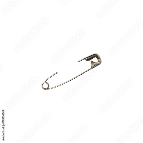 Silver Safety Pin, Cropped Pin