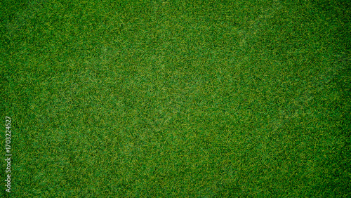 Green grass background, top view background of garden bright grass concept used for making green backdrop, lawn for sports field.
