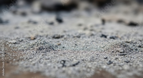 Close-up view of fine ash particles, revealing textures and details of the residue.