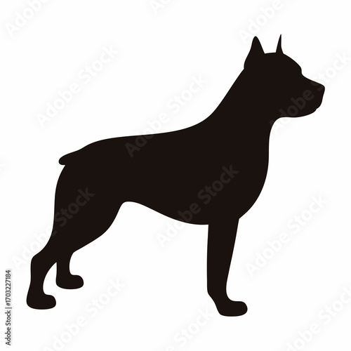 Silhouette of a muscular dog breed standing in profile view isolated