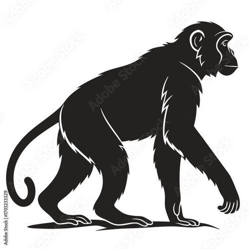 Silhouette of a monkey walking on a surface in profile view.