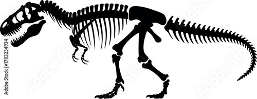 Tyrannosaurus rex skeleton silhouette dinosaur anatomy prehistoric fossil paleontology vector hand drawn