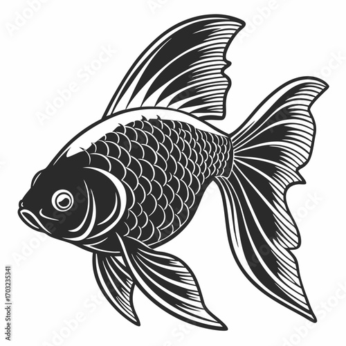 Detailed Goldfish Illustration in Vintage Engraving Style.