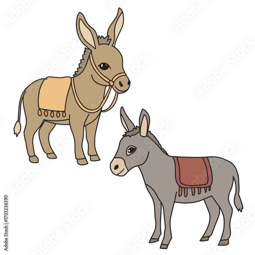 vector illustration of a donkey