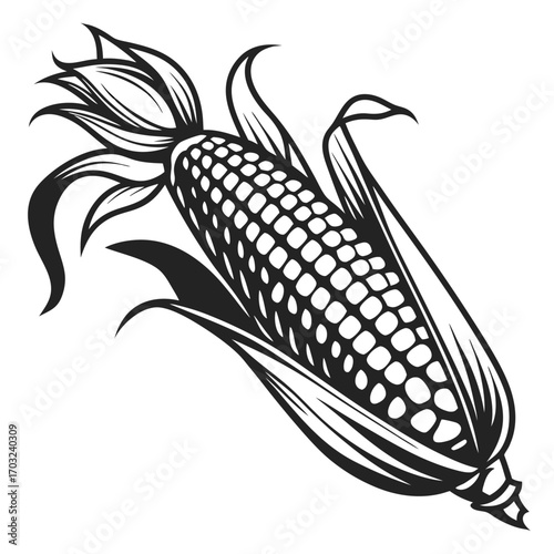 Stylized illustration of a fresh ear of corn with husks.