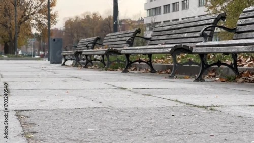 An outdoor scene along a pathway that captures a serene urban park with empty benches on either side of a path with low angle capture.