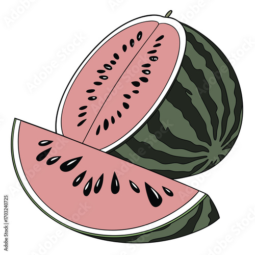 Fresh Watermelon Slices with Seeds.