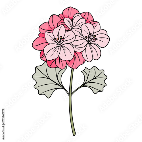 Wallpaper Mural vector illustration of a flower, line art flower Torontodigital.ca