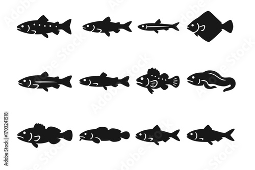 Lamprey capelin sculpin halibut arctic burbot icon wildlife cod vector icons saffron