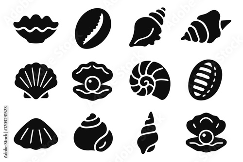 Clam vector reef chiton pearl icon icons coral conch oyster shell turban