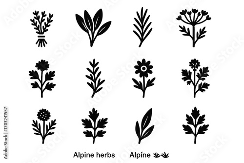 Thyme leaf icon bundle vector icons lovage wild valerian herb alpine plant