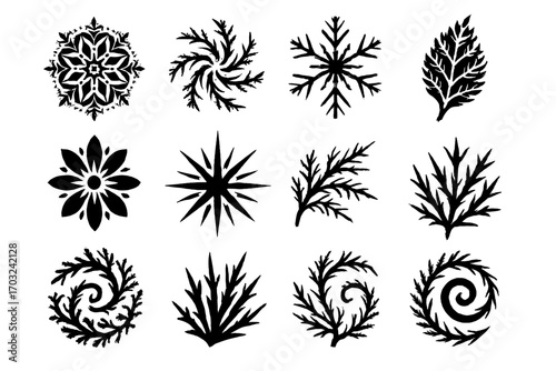 Icon spiral skeleton icons snowburst rays vector pattern geometry frost mandala cluster