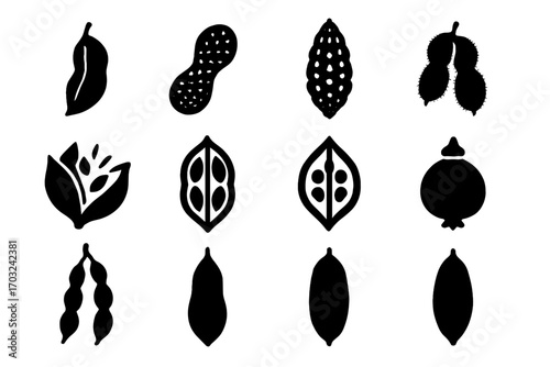 Collection icon botanical chain seed symmetrical burst nature hanging vector pod