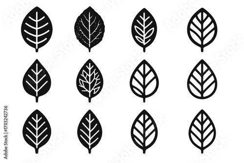 Vein vector dendritic veins icons leaf icon simplified venation artistic open