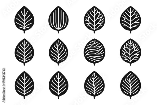 Stylized leaf foliage vector lines clean minimalist icon botanical vein veins layered