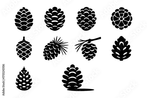 Vector branch cone icon top side silhouette pine view shadow