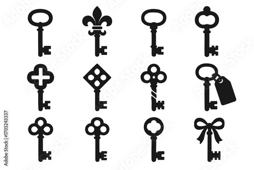 Medieval key twisted icon vector tag bronze skeleton vintage antique stem