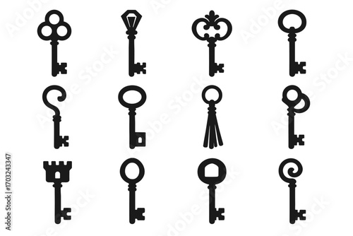 Shaped loop icons gem hidden serpentine key vintage lock icon vector gate