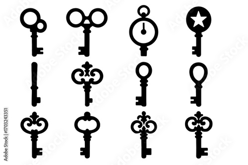 Engraved vector cutout head vintage handle key elaborate icons bow icon bit