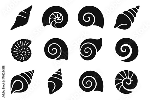 Spiral rounded seashell swirl vector shape icon abstract icons conch nautilus shell