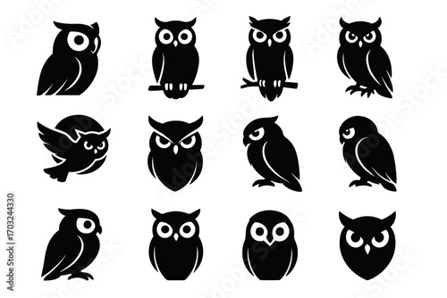 Quiet vector collection over icon flying gaze pose fierce tucked owl
