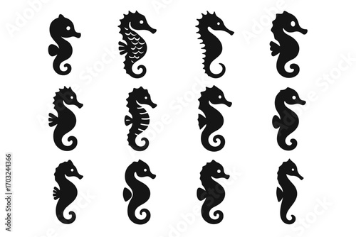 Tail dancing marine compact texture scale seahorse collection icon thin vector icons
