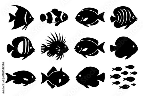 Butterflyfish fish lionfish clownfish icon surgeonfish vector swimming spines triggerfish reef damselfish