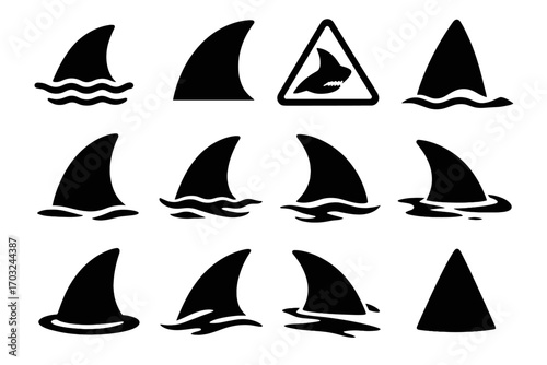 Waters wide tension shark fin vector stylized classic icon beach curve
