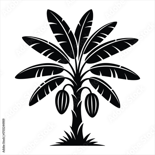 Cocoa Tree Illustration with Lush Leaves and Fruit Pods Black and White Botanical Vector Graphic of a Tropical Plant for Print or Digital Design