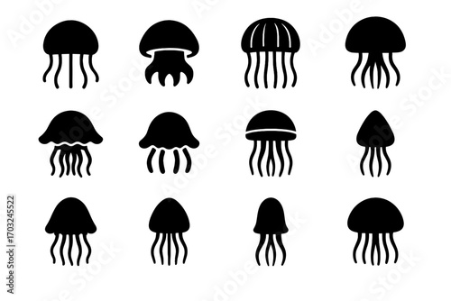 Icon symmetry tip set jellyfish concave bell segmented vector jelly ringed deep