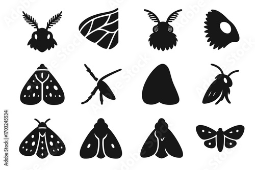 Pattern icon collection span view vector wing moth segment block leg